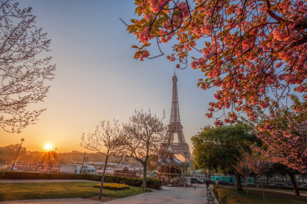 istock Eiffel Tower with spring trees in Paris, France 902871562