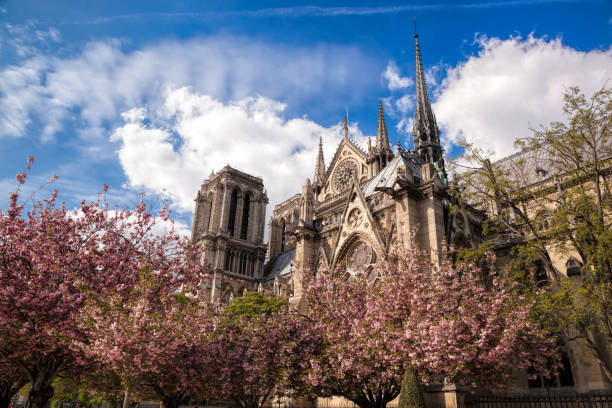 istock Notre Dame cathedral with spring trees in Paris, France 902871584