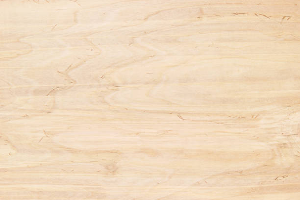 Wood background, light texture of a wooden shield or board panel