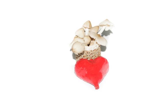 istock Mushrooms in a heart-shaped container on a white background. 902875852
