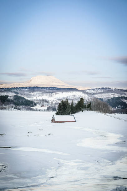 ノルウェーは冬に北ノルウェーのフィヨルドの海岸に投げかけています。 - snow horizon winter shed ストックフォトと画像