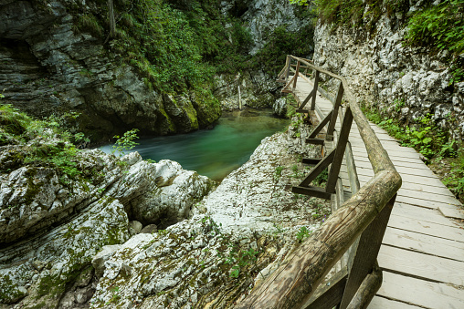 The Radovna river has cut the Vintgar Gorge deep between the hills. Wooden paths, passages and bridges lead visitors to waterfalls, rapids and ravines.