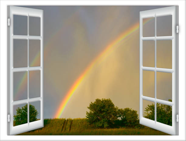 istock open windows  with a view of green meadow illuminated by bright sunshine 902879872