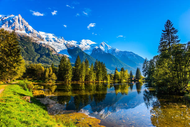 istock The lake reflects the forest and the blue sky 902880068