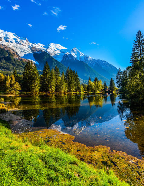 istock The lake and  snowy mountains 902880076