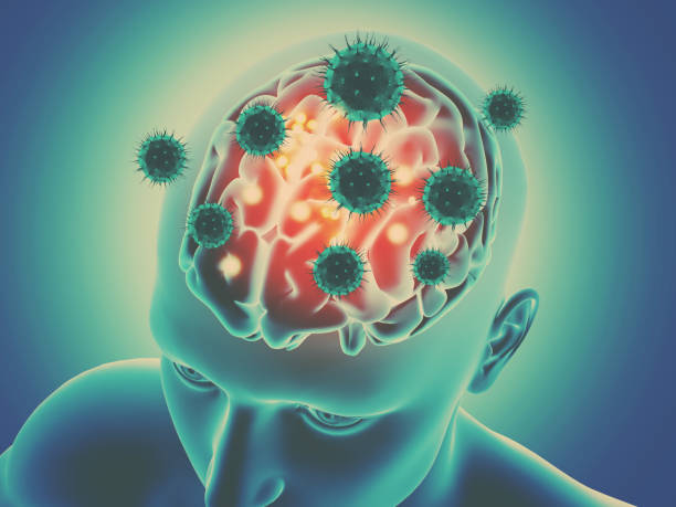 istock 3D male figure with brain being attached by virus cells 902882998