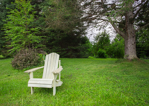 Scenic outdoor setting: Outdoor chair and table arranged against a natural backdrop