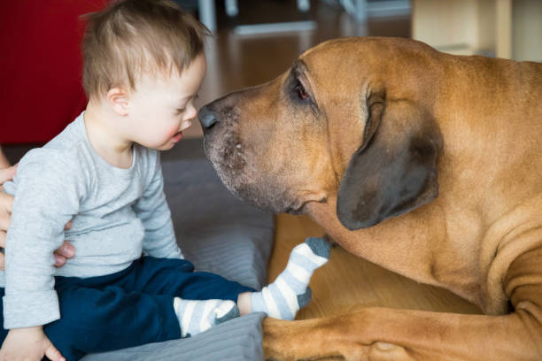 portrait of cute baby boy with down syndrome - baby animals imagens e fotografias de stock