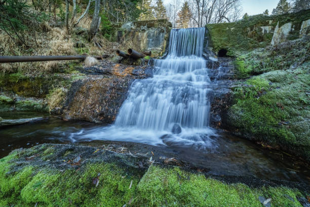 istock Old, abandoned small Japanese dam, Sakhalin Island, Russia 902890042