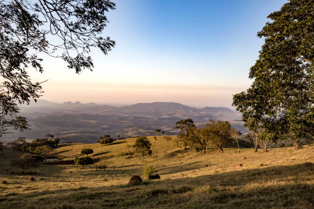 istock Field with tree and fence at dawn 902895820