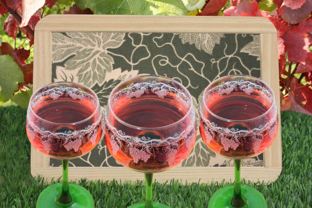 Wine tasting  Glass of red wine