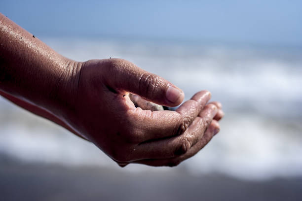 istock A hand holding sea glass pebbles. 902909792