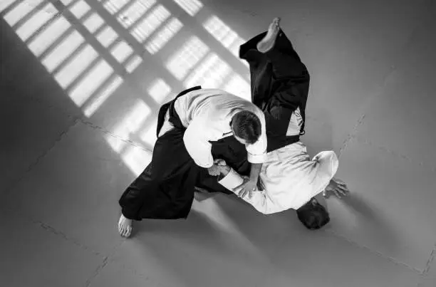 Two Aikido Fighters