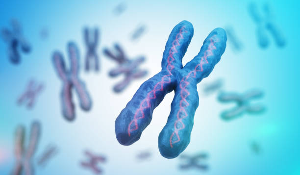 Genetics concept. Many X chromosomes with DNA molecules. 3D rendered illustration. stock photo