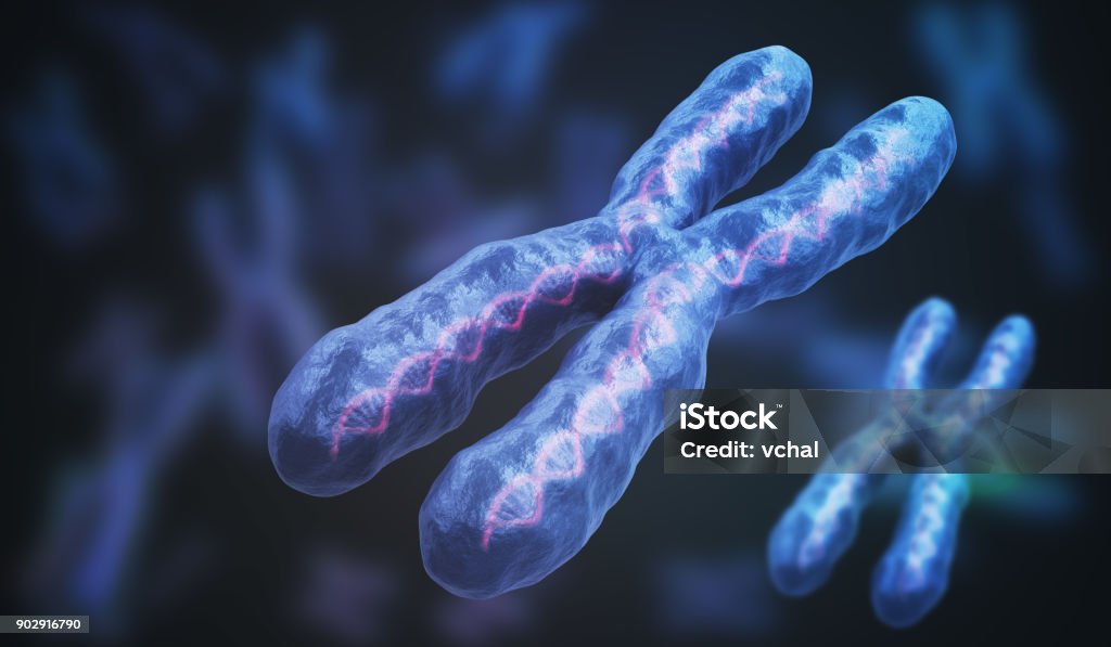 3D rendered illustration of chromosomes. Genetics concept. Chromosome Stock Photo