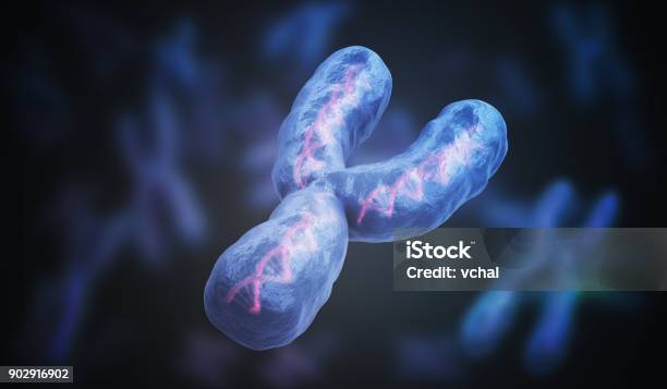 Male Gender Y Chromosome Genetics Concept 3d Rendered Illustration Stock Photo - Download Image Now