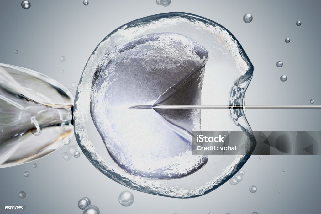 Laboratory microscopic research of IVF (in vitro fertilization). 3D rendered illustration. In Vitro Fertilization Stock Photo