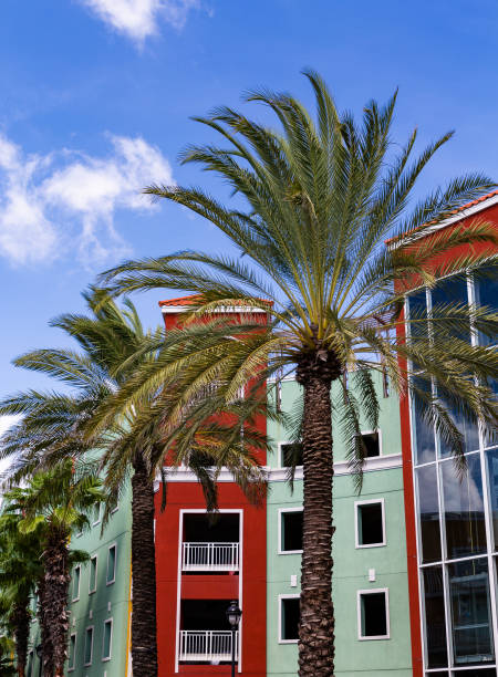 istock Palm Trees by Red and Green Resort 902920420