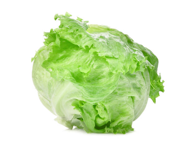 lattuga iceberg verde isolata su sfondo bianco - lattuga foto e immagini stock