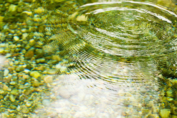 istock Circles on the smooth surface of the water on the river 902928492