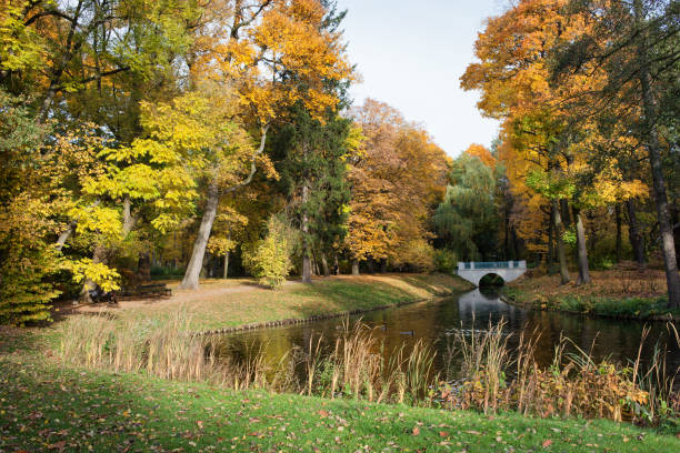 istock Royal Lazienki Park in Warsaw 902933390