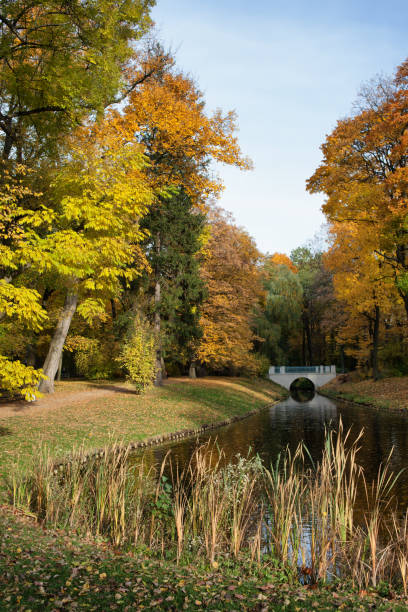 istock Lazienki Park in Warsaw 902933642