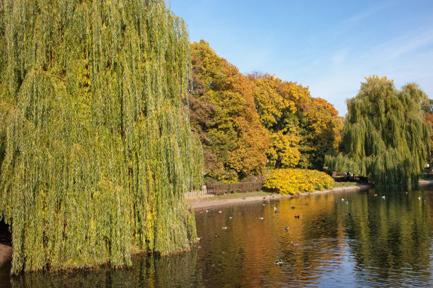 istock Saxon Garden in Warsaw 902933746