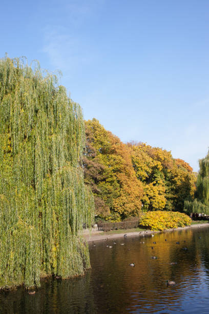 istock Saxon Garden in Warsaw 902937066