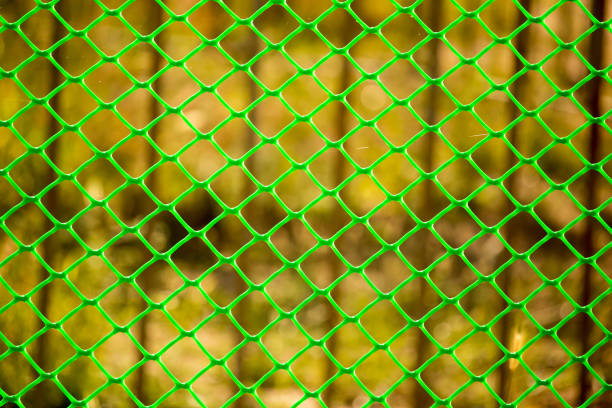 istock Green grid on the fence as a background 902939628
