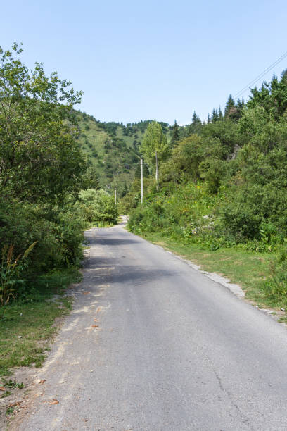 istock Asphalt road in the mountains 902944248