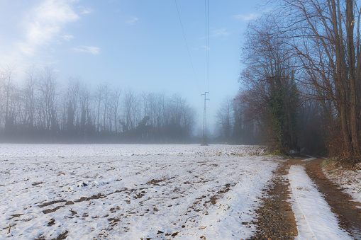 Morning fog over a snowy crop field during a cold morning day