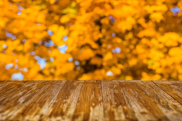 istock Empty rustic wood table top on blurred colorful autumn leaves background in bright fall forest. Can montage or display your products 902949854