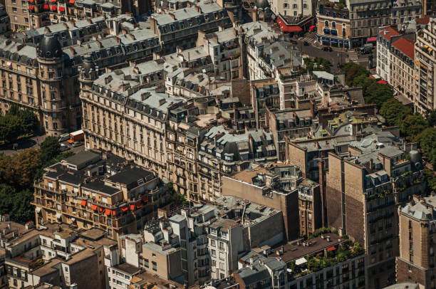 istock Streets, greenery and buildings in a sunny day, seen from the Eiffel Tower top in Paris. 902958270