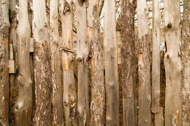 istock Wooden boards on a fence as a background 902960652