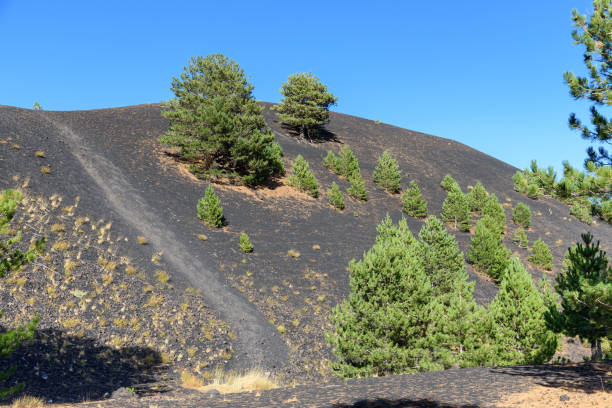 istock volcano Etna, mount Sartorius, sicily, italy 902963228