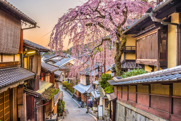 Kyoto, Japan in Spring Kyoto, Japan springtime at the historic Higashiyama distirct. cherry tree stock pictures, royalty-free photos & images