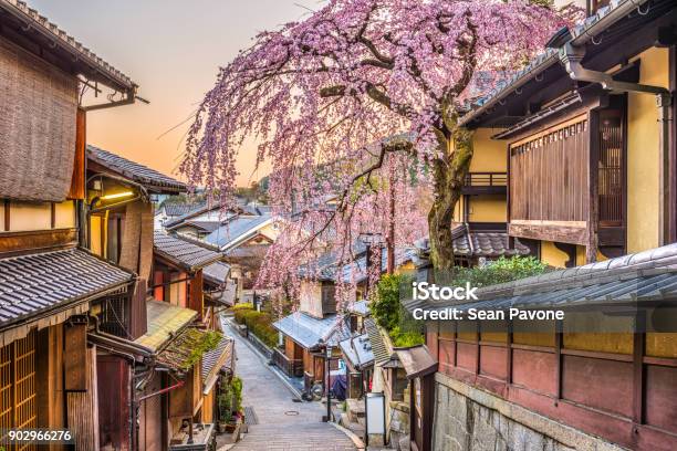 Kyoto Japan In Spring Stock Photo - Download Image Now - Japan, Cherry Blossom, Cherry Tree