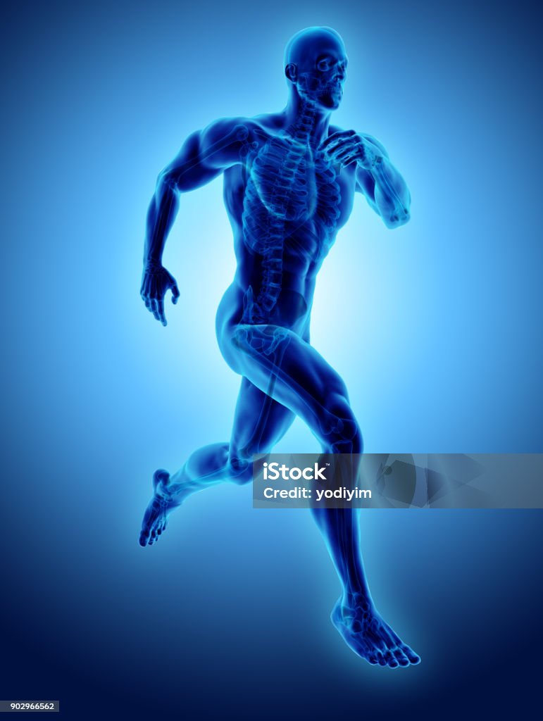 hombre de Ilustración 3D corriendo pose con radiografía esqueleto común médica concepto. - Foto de stock de Cuerpo humano libre de derechos