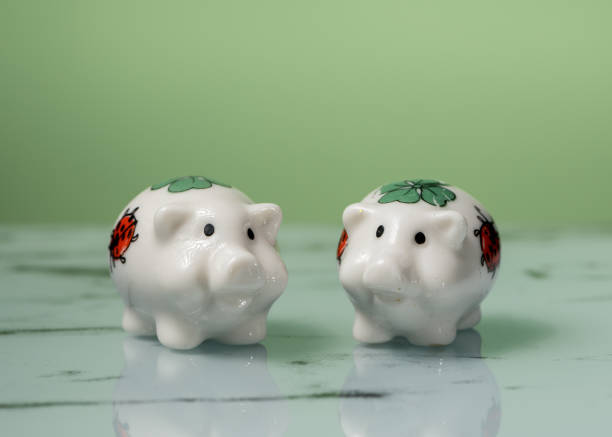 istock Figurine of two small white porcelain piggies 902969426
