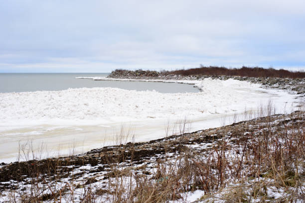 istock Coast of the Baltic Sea 902969796