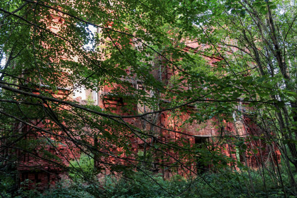 istock The building of an ancient monastery. 902974216
