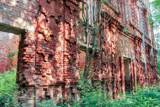 istock Bas-reliefs of ancient walls. 902974422