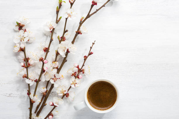 cup of coffee  and  branches of blossoming apricot  on  old wooden shabby background - old fashioned horizontal black coffee cup imagens e fotografias de stock