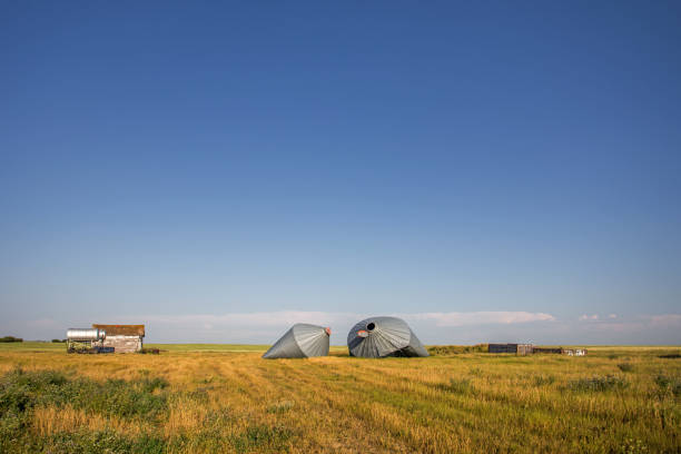 istock Crumpled grain bins in a summer landscape 902975806