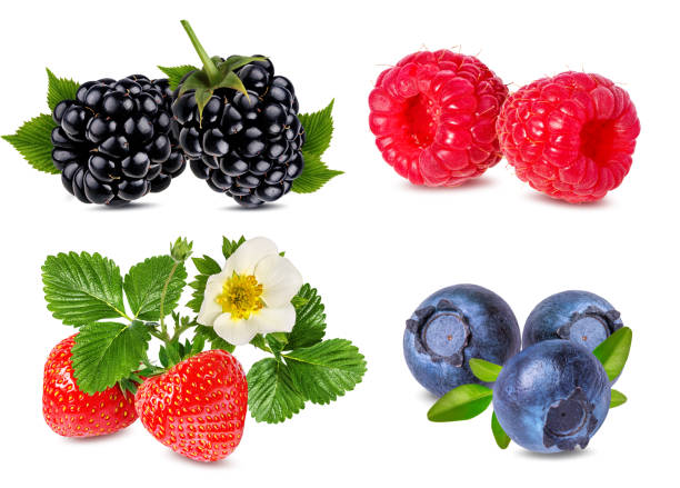 istock collection of fresh berries isolated on white 902976352