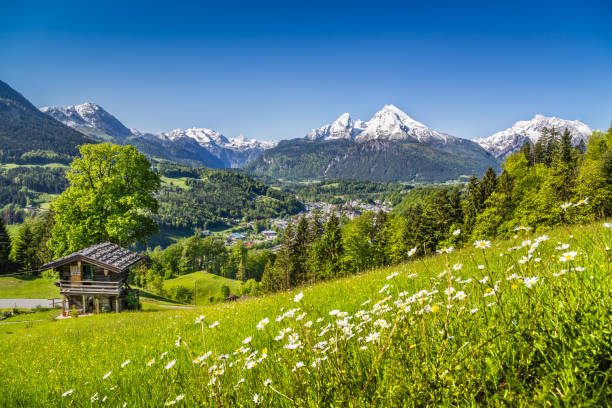 Idyllic landscape in the Bavarian Alps, Berchtesgaden, Germany Beautiful mountain landscape in the Bavarian Alps with village of Berchtesgaden and Watzmann massif in the background at sunrise, Nationalpark Berchtesgadener Land, Bavaria, Germany berchtesgaden national park photos stock pictures, royalty-free photos & images