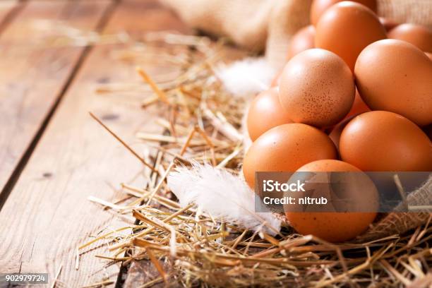 Eggs In A Heap Of Hay Stock Photo - Download Image Now - Animal Egg, Egg - Food, Farm