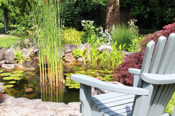 istock Chair in front of a beautiful pond 902979818