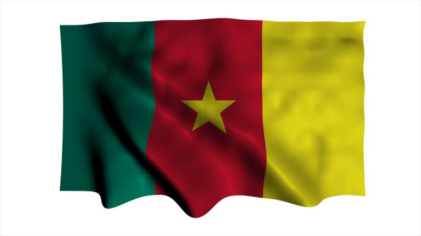 istock Flag of Cameroon 902980274