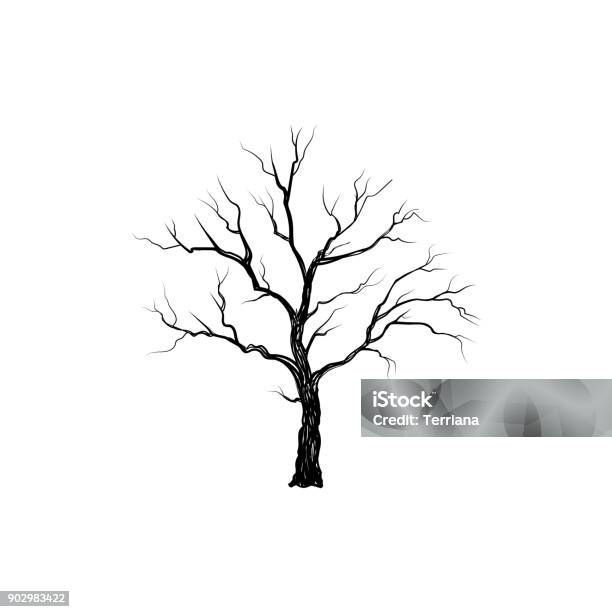 Tree Without Leaves Nature Sign Floral Winter Outdoor Icon Stock Illustration - Download Image Now